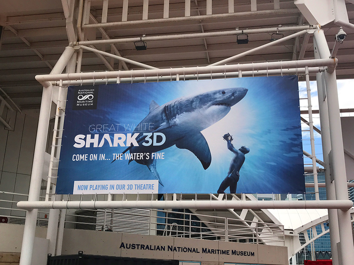 shark-poster-web